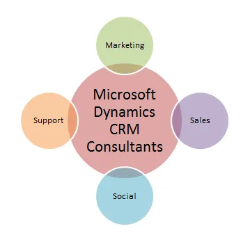 Microsoft Dynamics CRM Consultants for Comprehensive Customer Care Microsoft Dynamics CRM Consultants for Comprehensive Customer Care